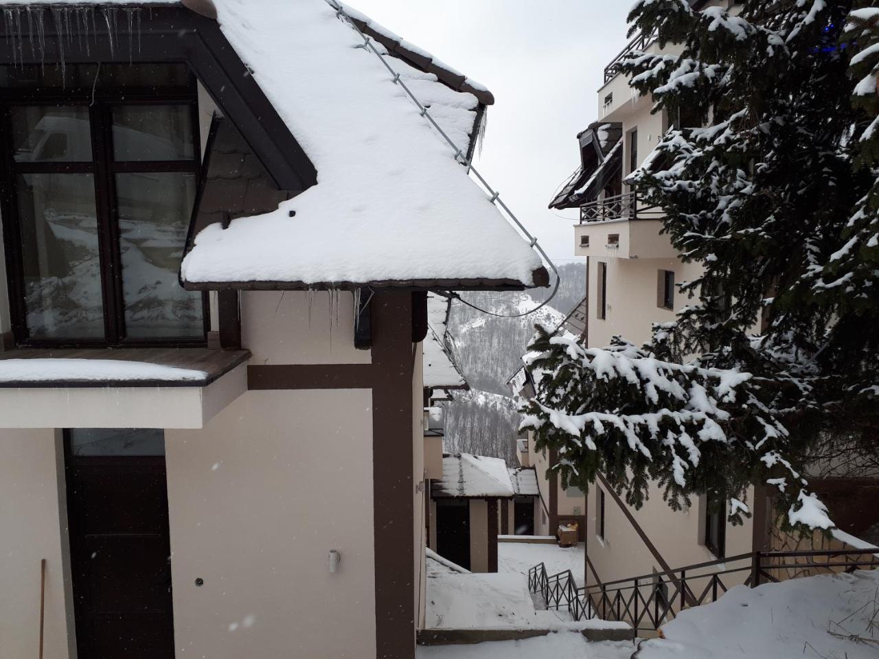 Apartman Andjela Κοπαόνικ Εξωτερικό φωτογραφία